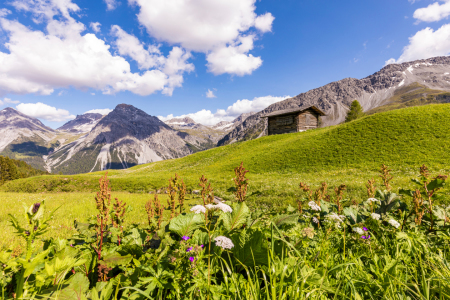 Bild-Nr: 12253263 Hütte bei Arosa in Graubünden Erstellt von: dieterich