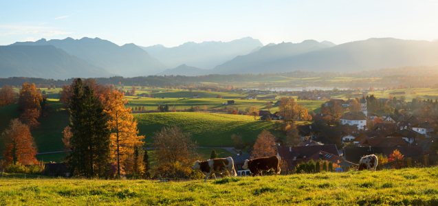 Bild-Nr: 12254455 Herbstidylle Aidling und Blaues Land Oberbayern Erstellt von: SusaZoom