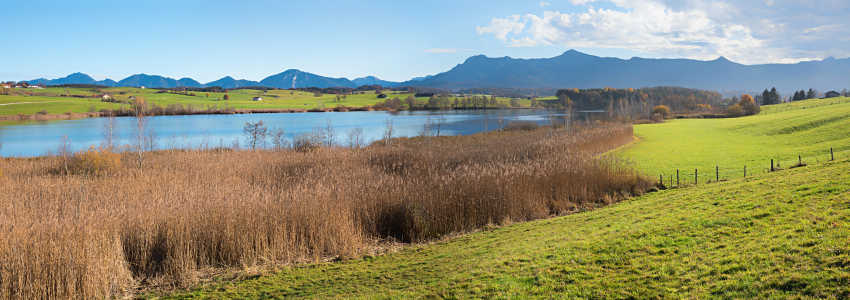 Bild-Nr: 12256833 Ländliche Idylle Riegsee und Alpenblick Bayern Erstellt von: SusaZoom