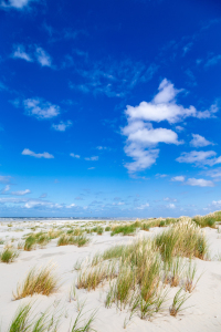 Bild-Nr: 12258408 Dünen und Strand Erstellt von: DirkR