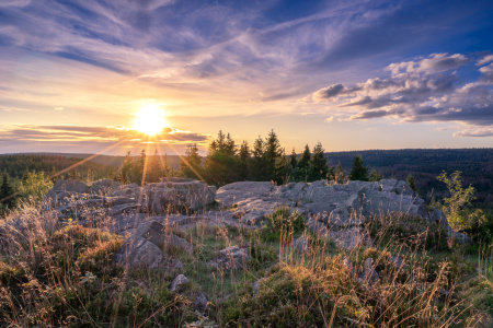 Bild-Nr: 12259405 Nationalpark Harz Erstellt von: Steffen Henze