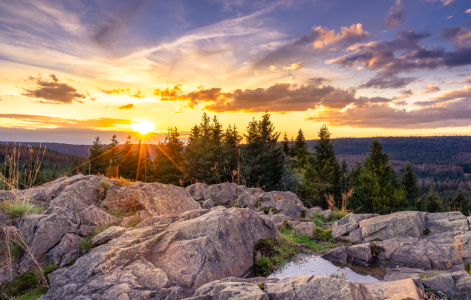 Bild-Nr: 12259408 Ruhe im Harz Erstellt von: Steffen Henze