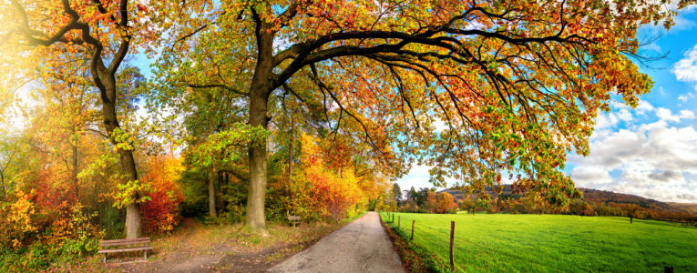 Bild-Nr: 12260089 Farbenfrohe ländliche Szene im Herbst Erstellt von: Smileus