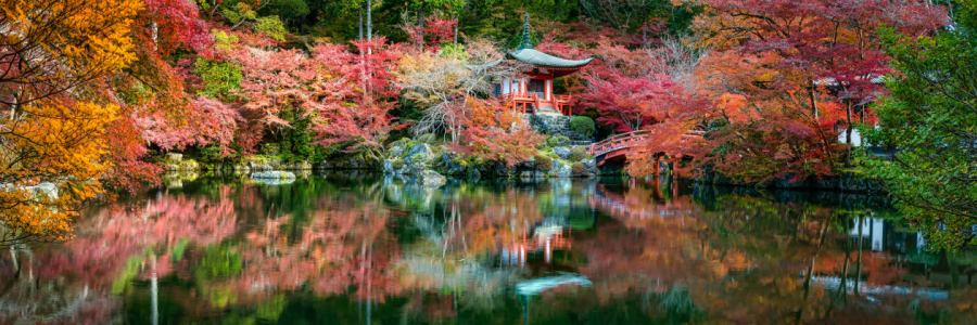 Bild-Nr: 12264217 Daigo ji Tempel im Herbst Erstellt von: eyetronic