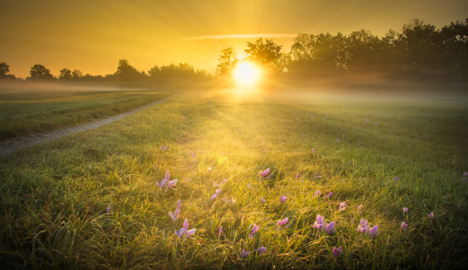 Bild-Nr: 12266495 Herbstlicher Sonnenaufgang Erstellt von: KundenNr-327281