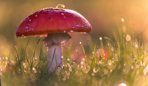 Bild-Nr: 12287848 Herbstfarben Erstellt von: Tanja Riedel