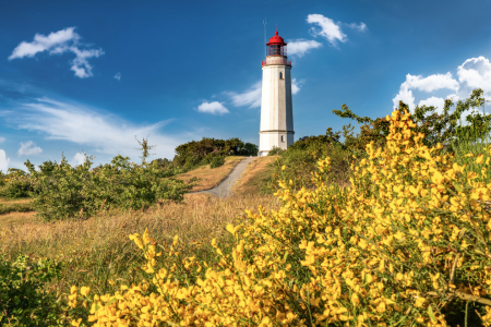 Bild-Nr: 12291233 Leuchtturm auf der Insel Hiddensee an der Ostsee Erstellt von: FotoPictures