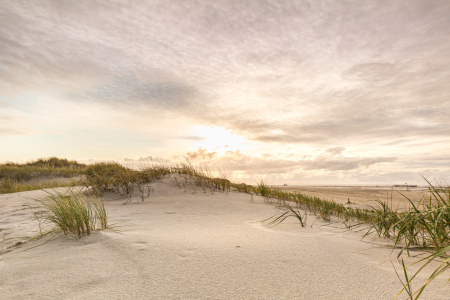 Bild-Nr: 12291702 Goldene Stunde in Sankt Peter-Ording Erstellt von: Ursula Reins