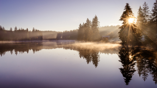 Bild-Nr: 12295761 Der Ziegenberger Teich im Harz Erstellt von: Steffen Henze