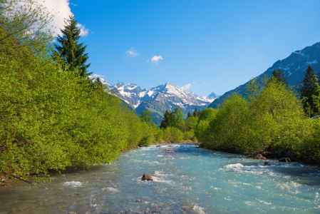 Bild-Nr: 12295768 Frühling an der Stillach Oberstdorf Erstellt von: SusaZoom