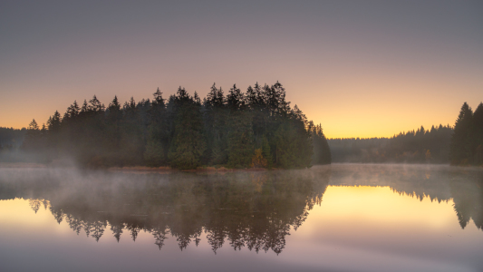 Bild-Nr: 12295805 Teich im Nebel Erstellt von: Steffen Henze