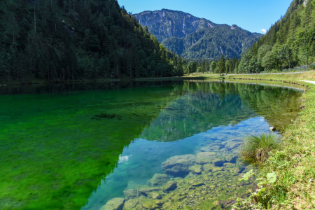 Bild-Nr: 12299110 Förchensee im Chiemgau Erstellt von: P-BFoto