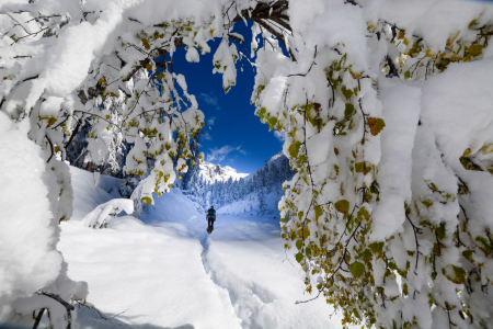Bild-Nr: 12302072 Winterspaziergang im Herbst Erstellt von: Bettina Schnittert