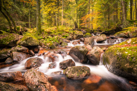 Bild-Nr: 12303318 Bachlauf mit Wasserfall Erstellt von: PH-Photography