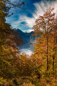 Bild-Nr: 12321740 Königssee Erstellt von: DirkR