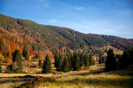 Bild-Nr: 12329854 Blick ins Menzenschwander Albtal im Herbst Erstellt von: alexwolff68
