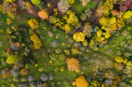 Bild-Nr: 12347936 Streuobstwiese im Herbst Erstellt von: dieterich