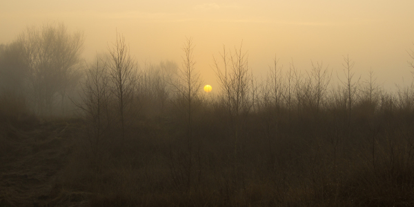 Bild-Nr: 12348086 Sonnenaufgang in der Molberger Dose Erstellt von: yammay