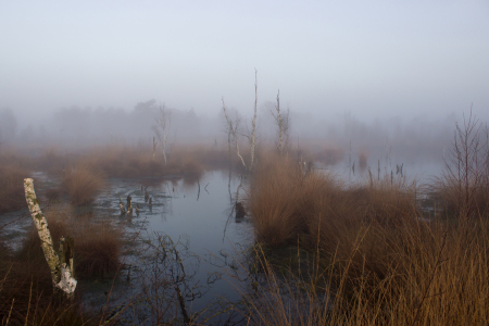 Bild-Nr: 12348197 Moorland Erstellt von: yammay