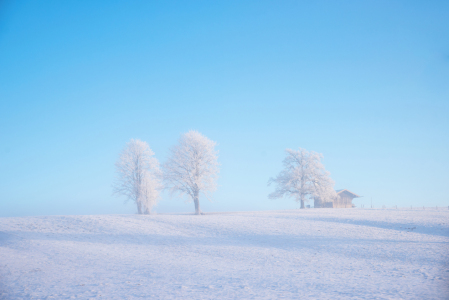 Bild-Nr: 12349748 Winterszenerie Erstellt von: SusaZoom