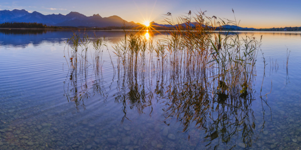 Bild-Nr: 12353653 Sonnenuntergang am Hopfensee Erstellt von: Walter G. Allgöwer