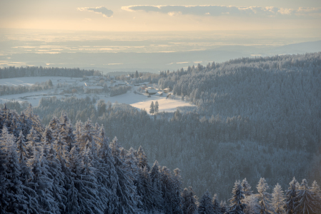 Bild-Nr: 12359574 Sankt Englmar Bayerischer Wald Erstellt von: Gregor Handy