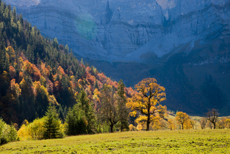 Bild-Nr: 12361590 herbstlicher Bergwald im Karwendel Erstellt von: SusaZoom