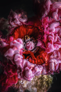 Bild-Nr: 12361605 softly Nature Art Erstellt von: Steffen Gierok