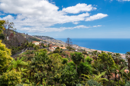 Bild-Nr: 12366126 Blick auf Funchal auf der Insel Madeira Erstellt von: Rico Ködder