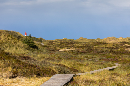 Bild-Nr: 12367748 Holzweg zum Stand von Amrum Erstellt von: Dennis-K