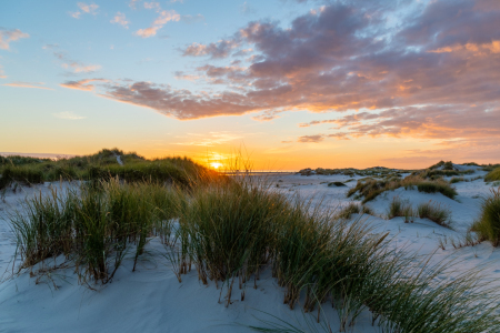 Bild-Nr: 12367749 Sonnenuntergang in den Dünen von Amrum Erstellt von: Dennis-K