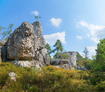 Bild-Nr: 12368374 Großer Pfahl Viechtach Quarzfelsen Erstellt von: SusaZoom
