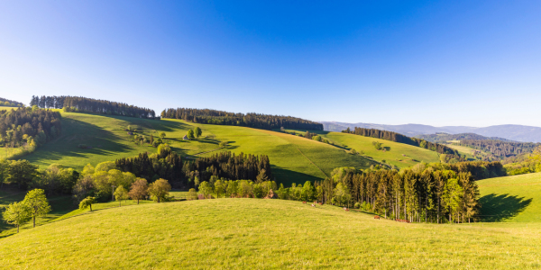 Bild-Nr: 12368886 Frühling im Hochschwarzwald Erstellt von: dieterich