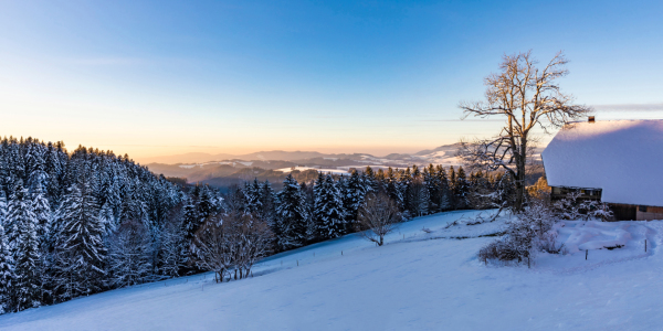 Bild-Nr: 12369480 Schwarzwaldhof im Südschwarzwald Erstellt von: dieterich