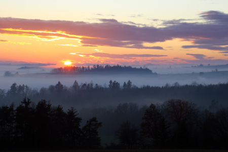 Bild-Nr: 12369611 Black Forrest Erstellt von: Gerhard Albicker