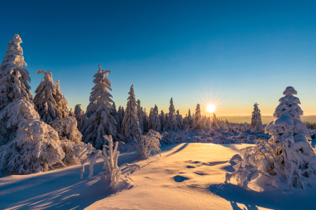 Bild-Nr: 12370003 Winter im Schwarzwald Erstellt von: dieterich