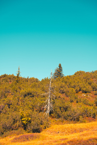 Bild-Nr: 12370732 Sonnenkopf in Vorarlberg  Erstellt von: DjuraPhotography