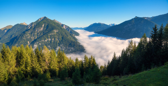 Bild-Nr: 12371504 Nebel über dem Achensee Erstellt von: SusaZoom