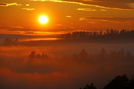 Bild-Nr: 12373115 Abend im Schwarzwald  Erstellt von: Gerhard Albicker