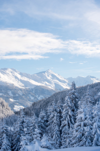 Bild-Nr: 12375133 Alpen Erstellt von: Gregor Handy