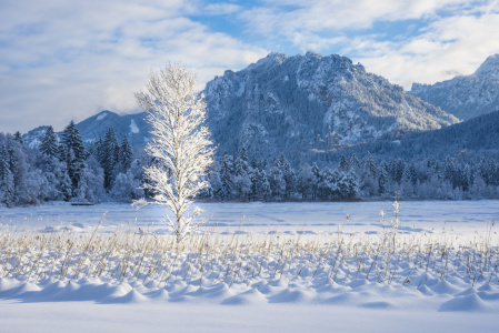 Bild-Nr: 12375963 Winter im Ostallgäu Erstellt von: Walter G. Allgöwer