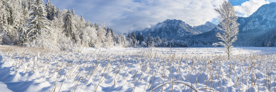 Bild-Nr: 12376114 Schneelandschaft bei Füssen Erstellt von: Walter G. Allgöwer