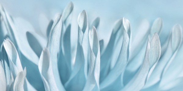 Bild-Nr: 12378591 Blau Erstellt von: Atteloi