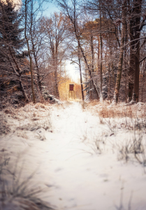 Bild-Nr: 12380705 Jägers Winterlandschaft Erstellt von: Nordbilder