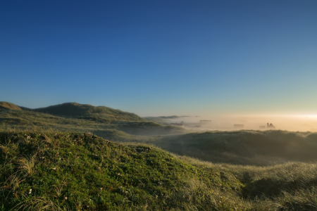 Bild-Nr: 12382238 Ferienhaussiedlung im Nebel Erstellt von: volker heide