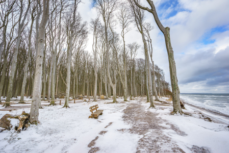 Bild-Nr: 12382479 Gespensterwald im Winter Erstellt von: FotoDeHRO