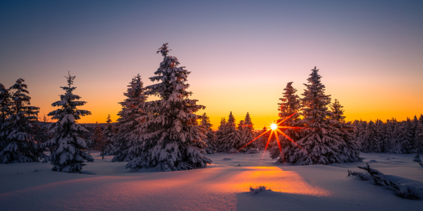 Bild-Nr: 12383375 Winterlandschaft bei Sonnenaufgang Erstellt von: PH-Photography