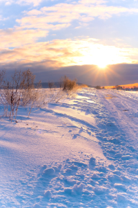 Bild-Nr: 12384126 Winter Träume im Schnee Erstellt von: Tanja Riedel