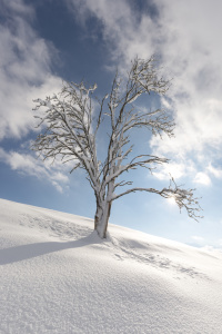 Bild-Nr: 12384927 Winter Erstellt von: Walter G. Allgöwer