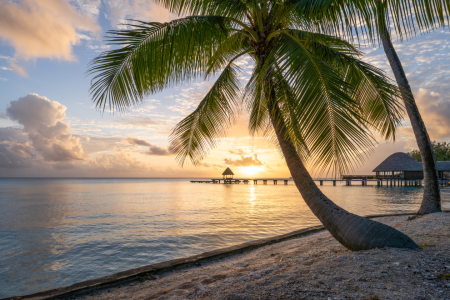 Bild-Nr: 12385358 Sonnenuntergang am Palmenstrand Erstellt von: eyetronic